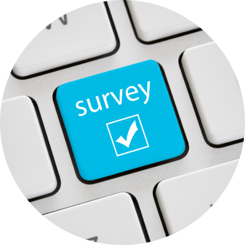 Survey image